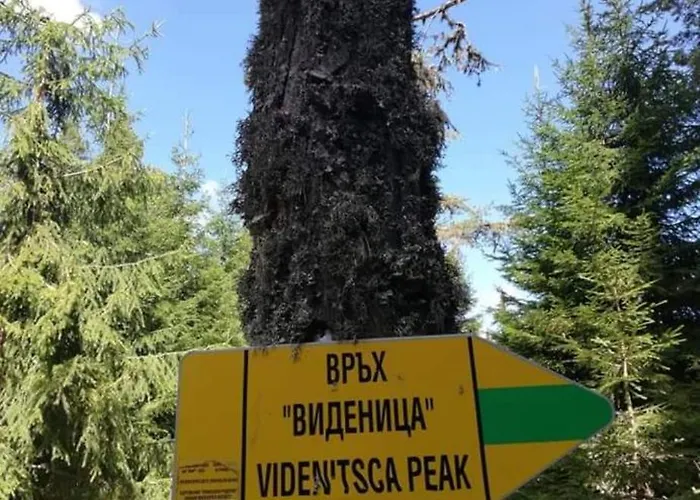 Appartamento къща за гости-ганеви Zmeitsa